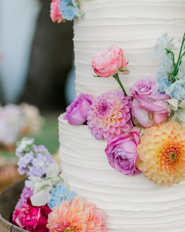 PRETTY DETAILS!!!…Ruffled buttercream has been the “it girl” of the textured icing squad for the past few months. This look pairs so well with fresh flowers, like these exquisite ones from @anliwahlfloral. I absolutely adore this image by @alexandragrahamphoto too! …Venue @ricketybridgewines #texturedbuttercream #ruffledbuttercream #cake #weddingcake #crumb #crumbcakes #crumbcakessa #cakeme #buttercreamcake #buttercreamcakes #buttercreamfrosting