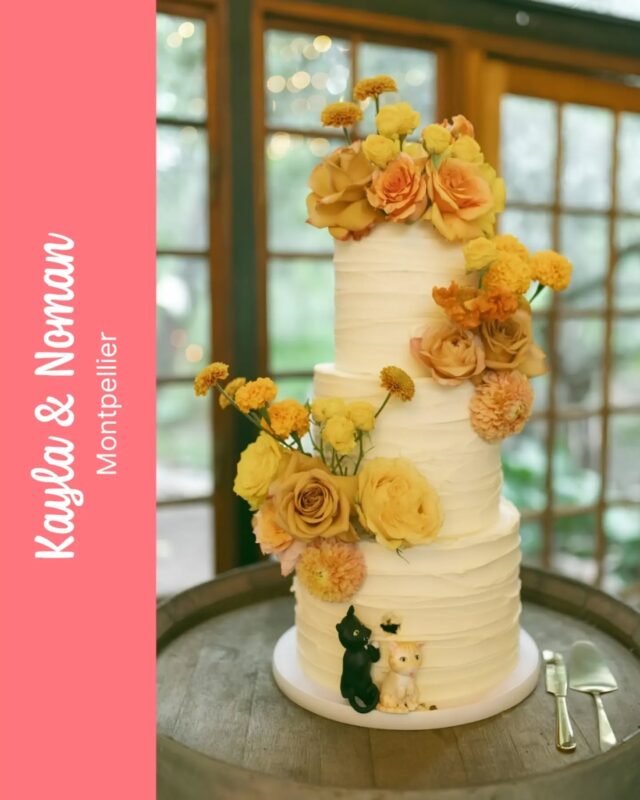 Kayla & Noman ...Bright bold colours and cats... What's not to love??? Obsessed with this beautiful couple and their incredible gluten free wedding cake. How cute are those cheeky little kitties stealing a bite of cake??So honoured to have been part of this incredible celebration. Thank you Kayla & Noman 💛🧡💛...Photography by @therichardsphotoandfilmVenue @montpelliersa Florals by @anliwahlfloral Cats @mischa_sugarworks